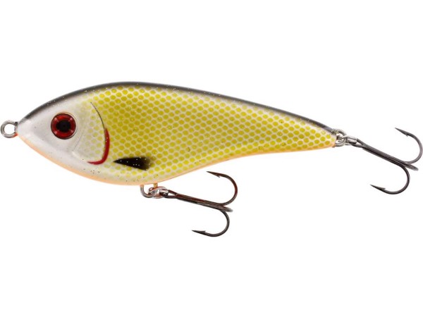Artikelbild für Swim Glidebait 8cm 16g sus.official Roach im Baltic Kölln Onlineshop