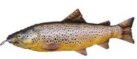 Artikelbild für Stofftier Brown Trout 65cm im Baltic Kölln Onlineshop