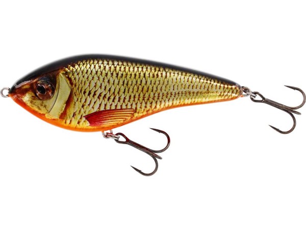 Artikelbild für Swim glidebait 12cm 53 gr sus. real rudd im Baltic Kölln Onlineshop