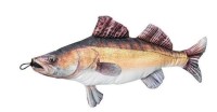 Stoff-Fisch Zander, Länge 70cm\