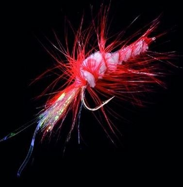 Shrimp Fly/dorschfliege Rot/Weiß
