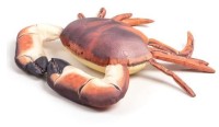 Artikelbild für Crab 30cm im Baltic Kölln Onlineshop