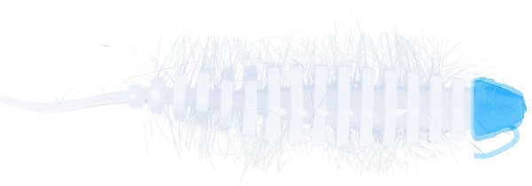 Artikelbild für Needle Bug Blue/White Carlic-Cheese 5 Stck.SB im Baltic Kölln Onlineshop