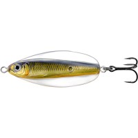 Artikelbild für ICT Eratic Shiner Casting Spoon Gold/Black im Baltic Kölln Onlineshop