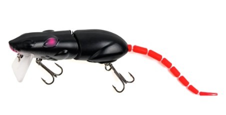 Artikelbild für Ratte Black im Baltic Kölln Onlineshop