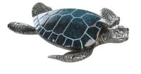 Artikelbild für Schildkröte Josie silber 16x18x4 cm im Baltic Kölln Onlineshop
