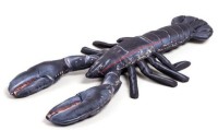 Artikelbild für Lobster 45cm im Baltic Kölln Onlineshop