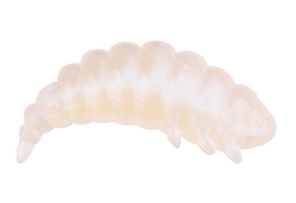 Artikelbild für TM Fat Camola 40 Pearl Shrimp 8 Stck. SB im Baltic Kölln Onlineshop